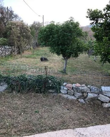 Lucie Paul Rez De Jardin A Mela * Porto-Vecchio (Corsica)