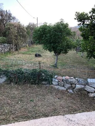 Lucie Paul Rez De Jardin A Mela * Porto-Vecchio (Corsica)